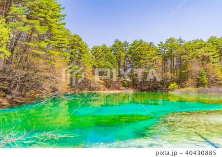 福島・裏磐梯 五色沼 青沼 40430885