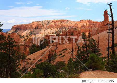Panorama from Bryce Canyon National Park, USA Panorama from Bryce Canyon National Park, USA 40431395