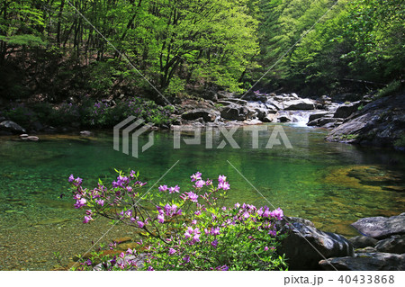 韓国 智異山 谷 40433868