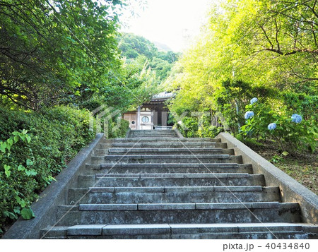 日本寺、鋸山 40434840