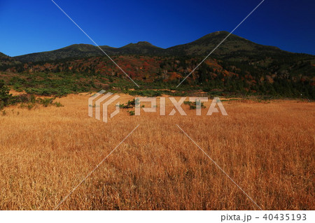 八甲田山 秋の高田大岳 八甲田山 秋の高田大岳 40435193