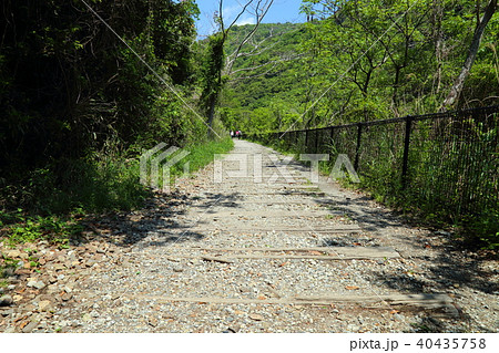 武田尾廃線敷ハイキングコース 40435758