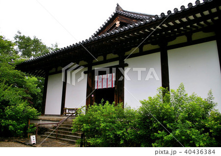 新薬師寺 新薬師寺 40436384