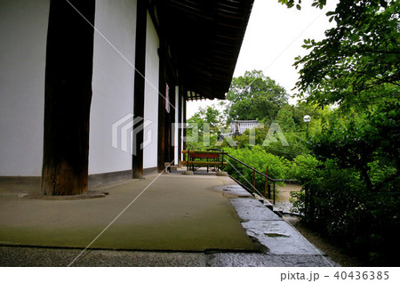 新薬師寺 新薬師寺 40436385