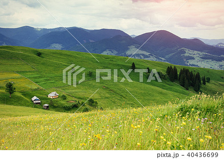 beautiful cozy sunny summer day and the mountains. Carpathians beautiful cozy sunny summer day and the mountains. Carpathians 40436699