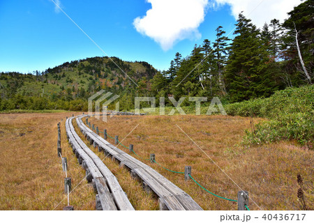志賀高原　四十八池湿原 40436717