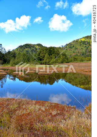 志賀高原　四十八池湿原 40436725