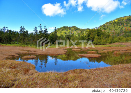 志賀高原　四十八池湿原 40436726