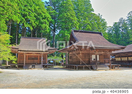 高野山　孔雀堂　胝准堂 40436905