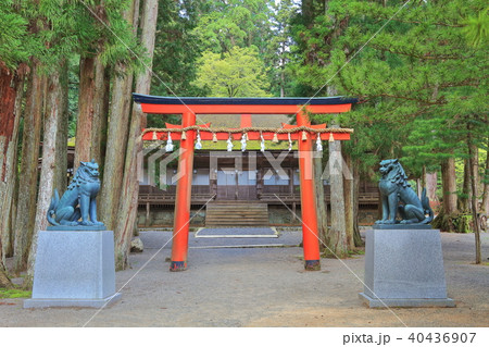 高野山 山王院 高野山 山王院 40436907