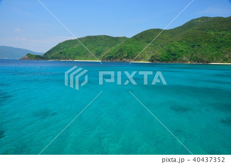 ＜加計呂麻島＞　「実久ブルー」　04 40437352