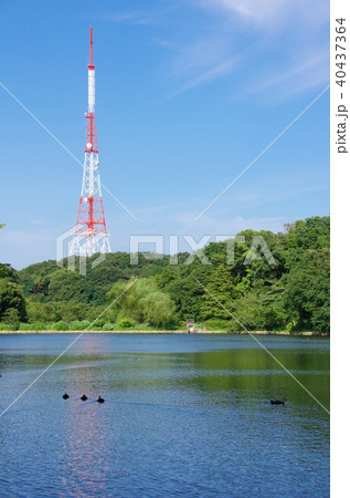 三ッ池公園の写真素材