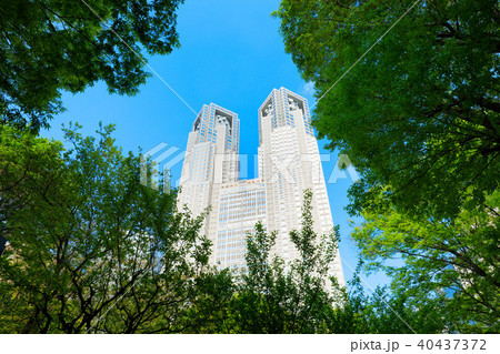若葉と新緑の新宿中央公園より都庁を望む 40437372