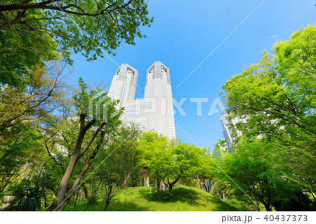 若葉と新緑の新宿中央公園より都庁を望む 40437373
