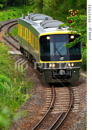 キヤ141　第二編成 40437433