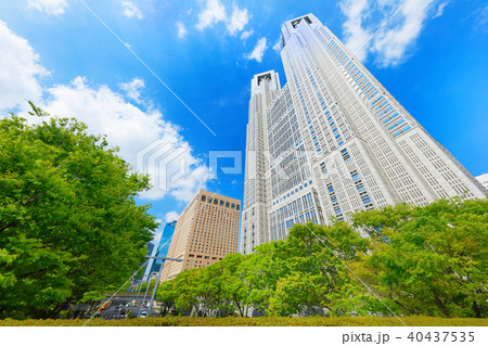 若葉と新緑の新宿中央公園より都庁を望む 40437535