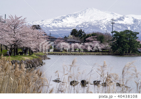 春の鳥海山 秋田県 春の鳥海山 秋田県 40438108