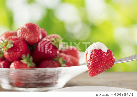 イチゴ イチゴ 40438471