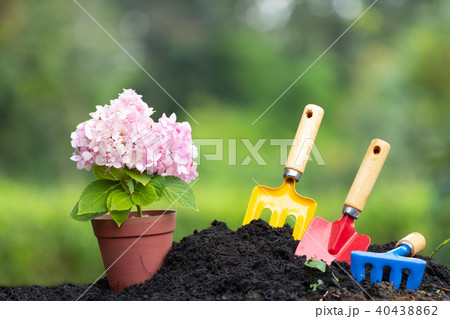 Tools garden soil and  hydrangea flower in flower  40438862