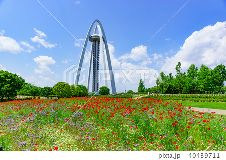 138タワーパーク 40439711