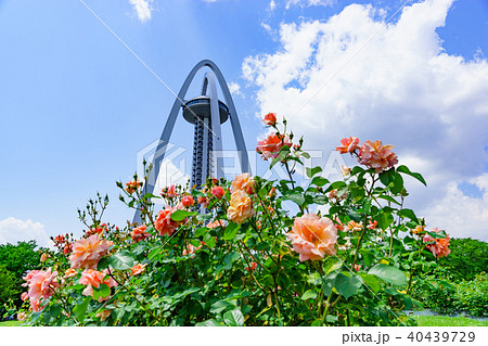 138タワーパーク 40439729