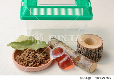 カブトムシ、クワガタムシの飼育グッズ カブトムシ、クワガタムシの飼育グッズ 40439765