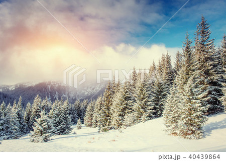 Mysterious Winter landscape with fog, majestic mountains Mysterious Winter landscape with fog, majestic mountains 40439864