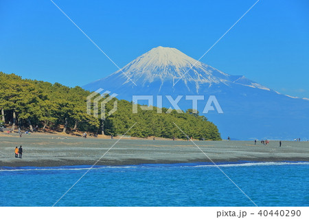 富士山と三保の松原 富士山と三保の松原 40440290