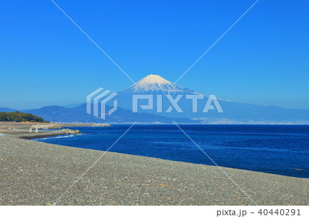 富士山と三保の松原 富士山と三保の松原 40440291