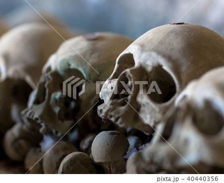 fontanel cemetery,Naples 40440356