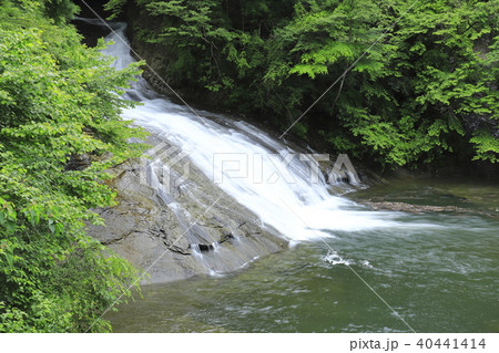 養老渓谷　新緑と豊かな水量の「粟又の滝」 40441414