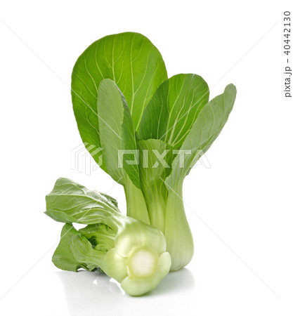 Bok choy (chinese cabbage) isolated on white Bok choy (chinese cabbage) isolated on white 40442130