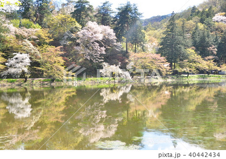 春の風景 春の風景 40442434