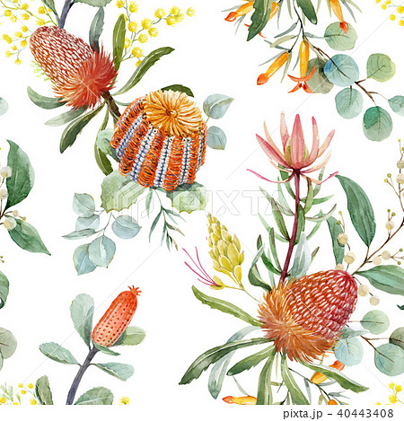 Watercolor australian banksia vector pattern 40443408