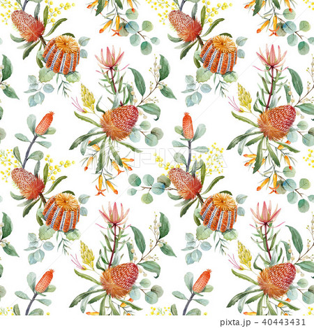 Watercolor australian banksia floral pattern 40443431