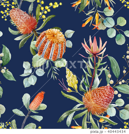 Watercolor australian banksia floral pattern 40443434