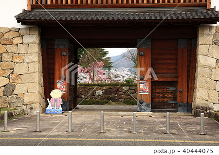 田辺城より 40444075