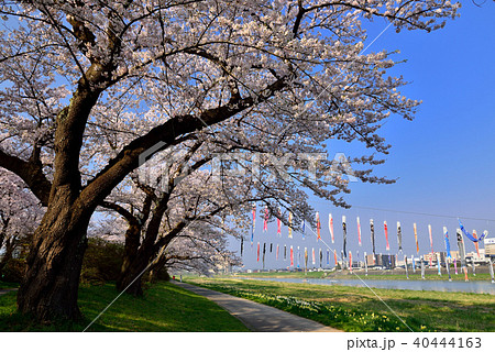 北上展勝地 40444163