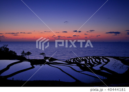 白米千枚田 40444181