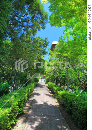 瀧湖寺参道(小豆島) 瀧湖寺参道(小豆島) 40444202
