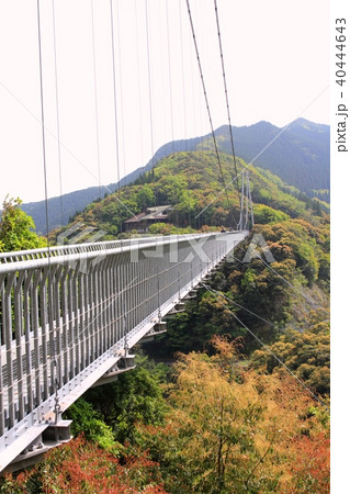 綾の照葉大吊橋 綾の照葉大吊橋 40444643
