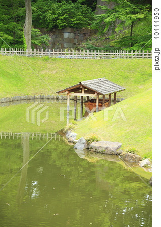 金沢城公園 40444950