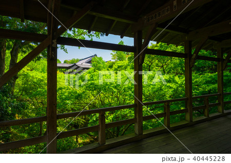 京都　東福寺　通天橋　臥雲橋　新緑 40445228
