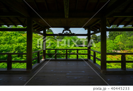 京都 東福寺 通天橋 臥雲橋 新緑の写真素材