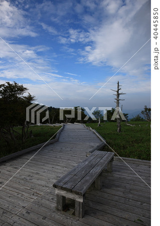 大台ヶ原山より 大台ヶ原山より 40445850