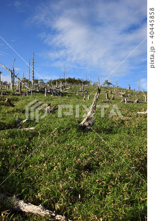 大台ヶ原山より 40445858