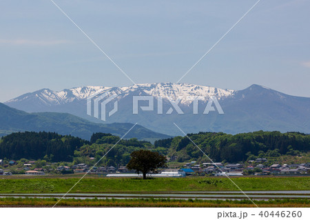残雪の蔵王と水田 残雪の蔵王と水田 40446260