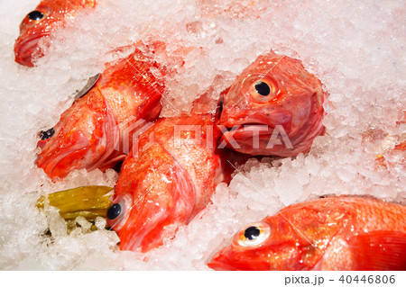 Kinmedai (golden eye snapper), WestCoastToFarEast