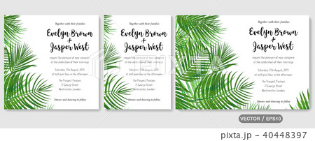 Wedding invite, invitation rsvp thank you card 40448397