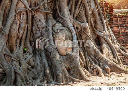 Head of sandstone Buddha statue. 40449500